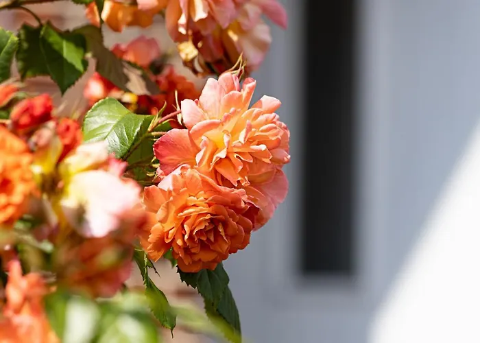 Vakantiehuis Strandgut List