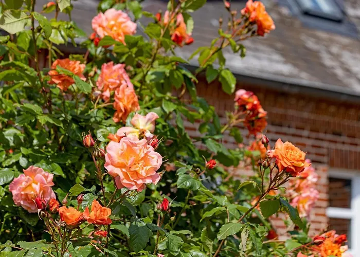 Vakantiehuis Strandgut